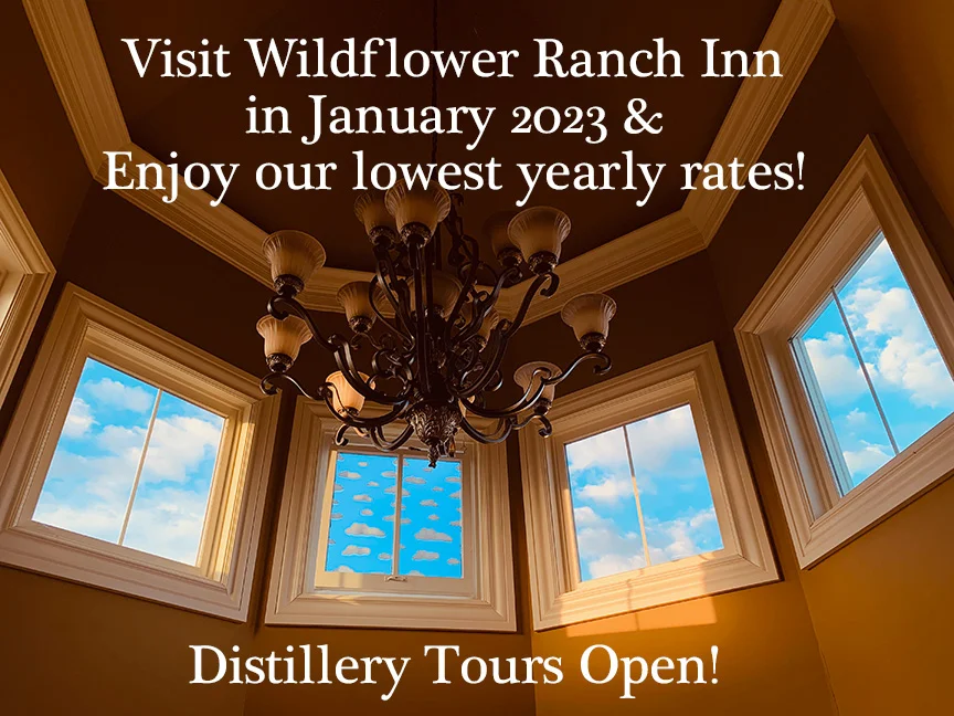 Lowest B&B Prices in January